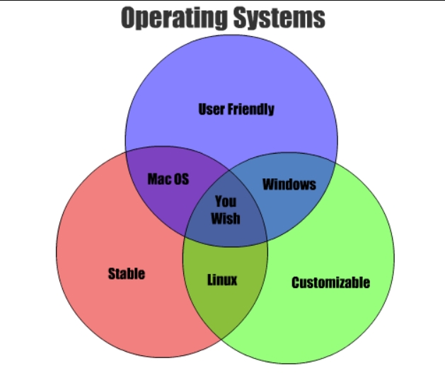 The meme is a Venn diagram with three overlapping circles labeled "Windows", "Linux", and "MacOS". The intersection of the three circles is labeled "You wish". The implication is that the user is experiencing technical difficulties with all three operating systems, and is therefore wishing they could use a single, stable, and user-friendly operating system.